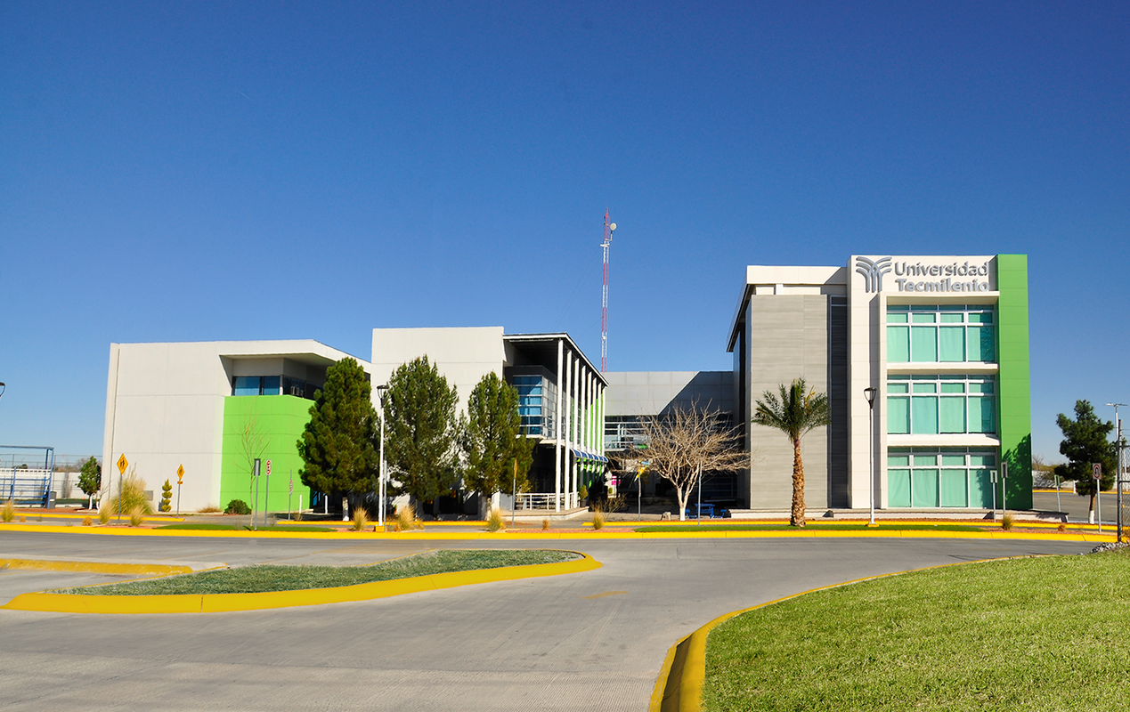 Universidad Tecmilenio — docencia y auditoría